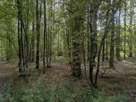 terrain de 37ares85 dans le domaine du
