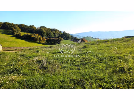 terrain constructible à viabiliser