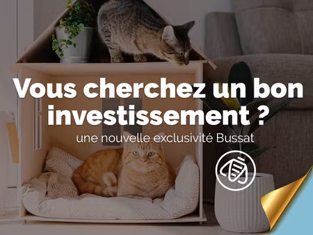 vente appartement t4 - loué - lyon 5