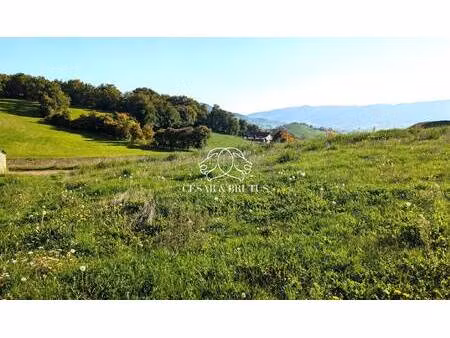 terrain constructible viabilisé à vendre