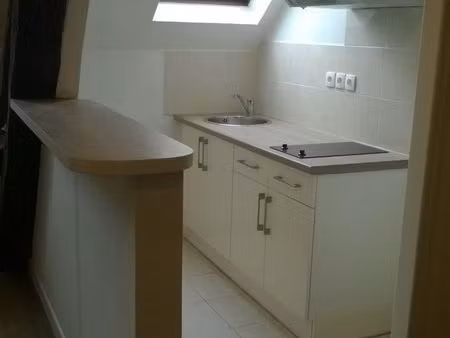 orléans hypercentre, appartement duplex