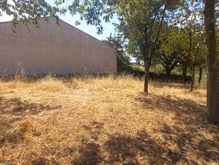 vente terrain à divatte-sur-loire (44450) : à vendre / 731m² divatte-sur-loire