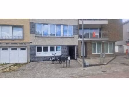 appartement rénové avec 1 chambre et petit jardin