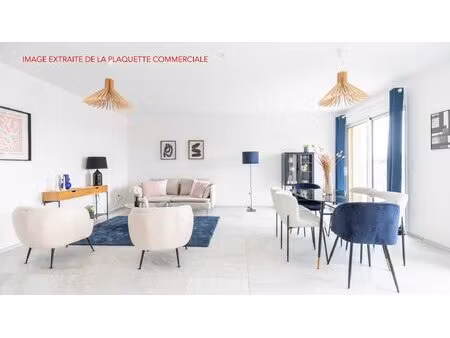 achat : appartement (45160)