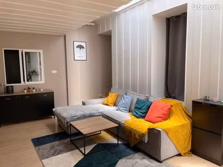 duplex atypique meublé – 80 m² carrez (103 m² au sol) – hyper centre & calme