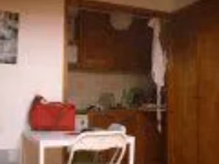 location appartement 1 pièce 18 m² à lyon 2 (69002)