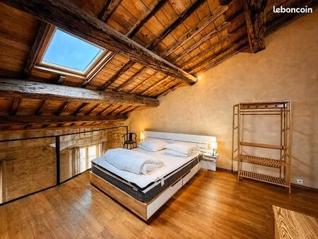 loft 60m2 hypercentre écusson climatisé
