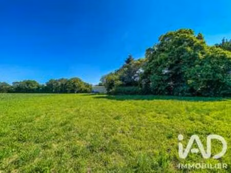 vente terrain à languidic (56440) : à vendre / 452m² languidic