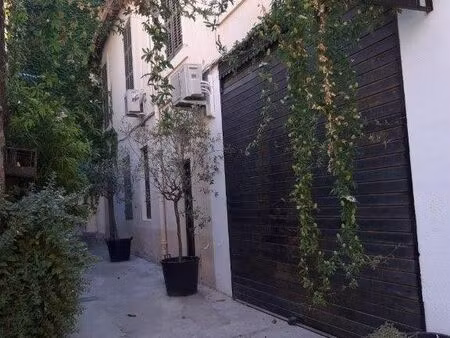 studette rue dragon