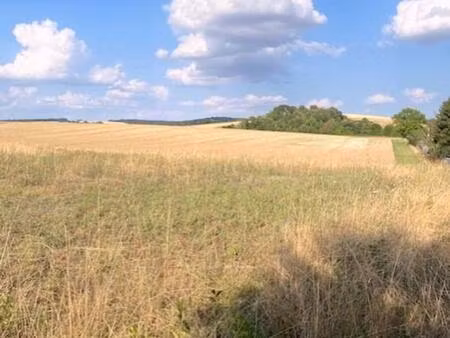 terrain à vendre proche de villeneuve l'archeveque (89)