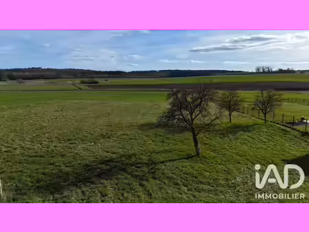 vente terrain 4 000 m²
