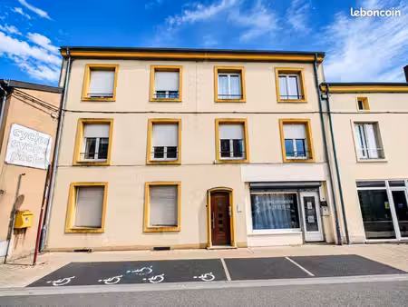 immeuble de rapport de 295 m2 + 8 garages + grenier
