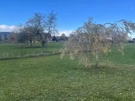 terrain à bâtir de 577 m² à schwenheim (67)