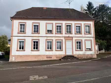 immeuble 220 m² sarre-union