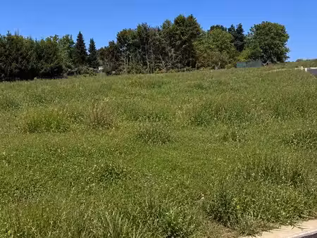 eckwersheim terrains à bâtir