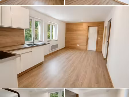 appartement t2 40m² taninges