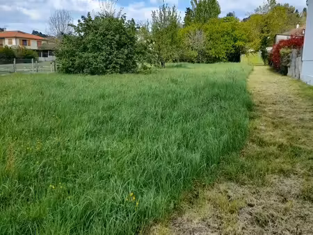 terrain constructible