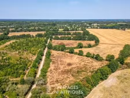 vente maison piscine à sainte-flaive-des-loups (85150) : à vendre piscine / 248m² sainte-f