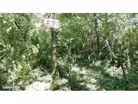 terrains boisés