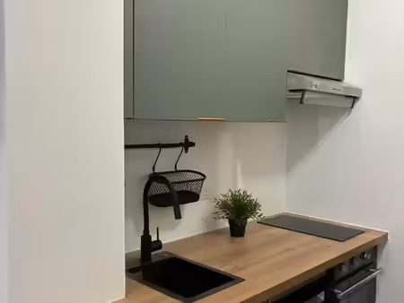 location appartement 1 pièce 16 m² à meudon (92190)