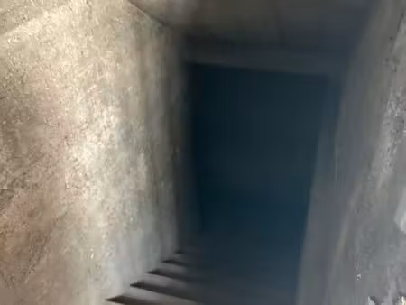 cave à louer