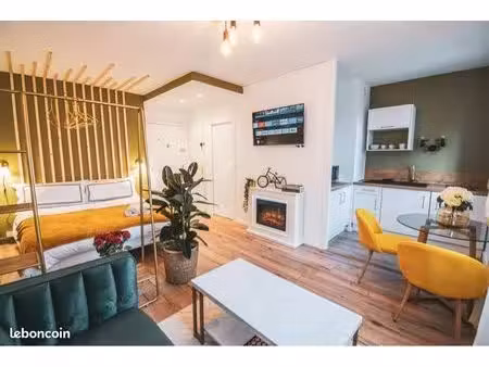 studio 25 m2 entièrement rénové