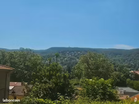 maison avec jardin