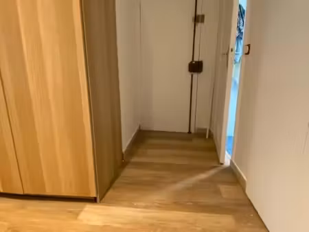appartement 1 pièce 20 m²