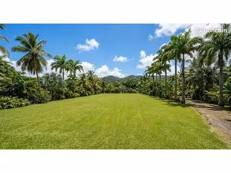 recherche terrain constructible (min. 300 m²) - secteur centre martinique