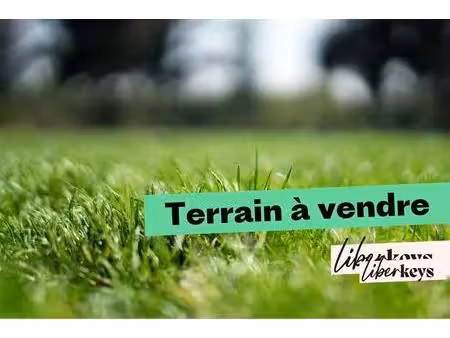 terrain de bois