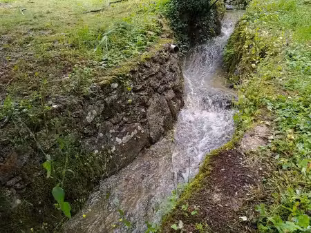 terrain à bâtir 3000m2 bois frémy 77