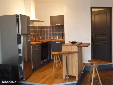 particulier loue très beau f2 meublé 36m2 nancy pépinière