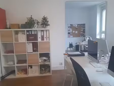 location appartement 4 pièces 105 m² à strasbourg (67000)