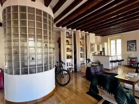 location meublée loft 74m2 lyon 1
