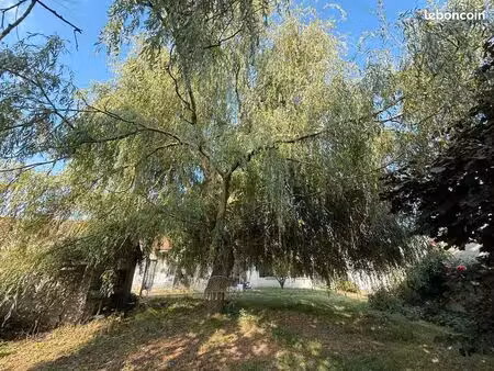à louer – maison familiale 150 m² – 5 chambres – terrain 2 000 m² – fruncé