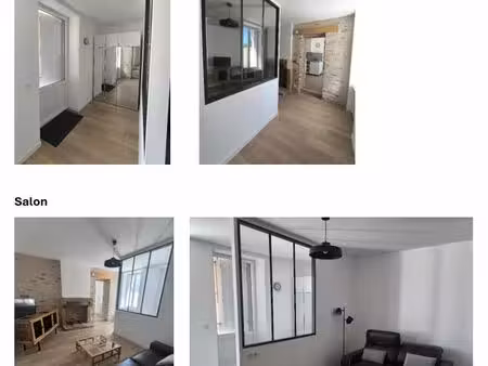 location en meublé - 2 pièces (salon/cuisine fermée/sde/chambre) au cœur du vieux montaigu