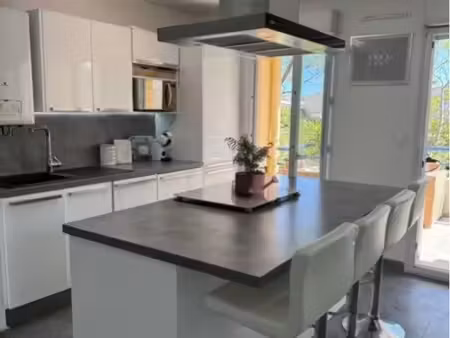 t2 meublé de 45 m² entièrement rénové avec grande terrasse et parking privatif