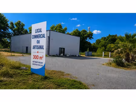 autre 300 m²