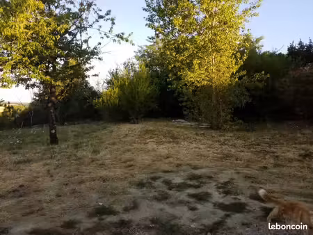 terrain arboré constructible 1000m2