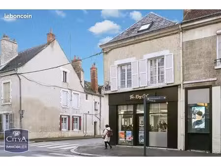 immeuble 176 m² orleans