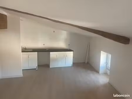 appartement refait à neuf 2 pièces de 49m2