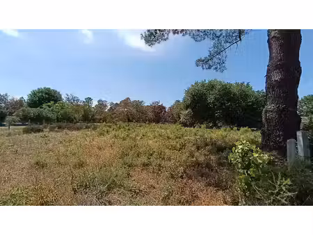 vente terrain 2305 m² biscarrosse (40600)