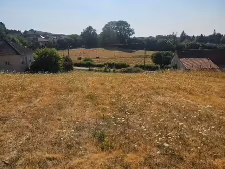 terrain constructible