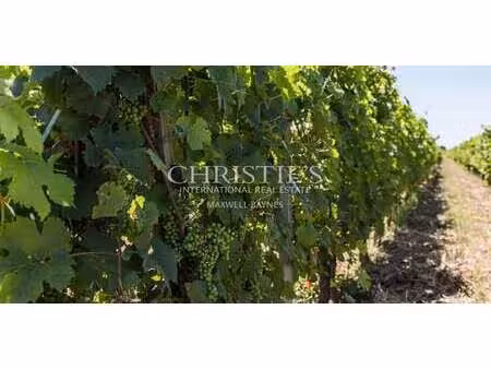vignoble avec piscine saint-emilion (33)