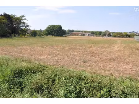 vente terrain à batir 2880 m² à martres-tolosane (31220), 148 400 €