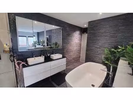 superbe maison 1 chambre plain pied