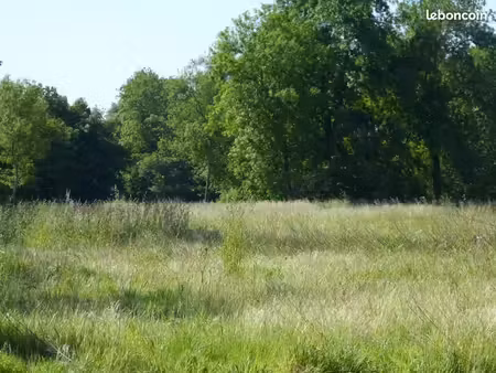 terrain 2000m2 rivarennes