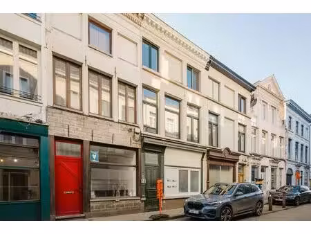 appartement à louer à begijnengracht 41 gand (rbw66982)