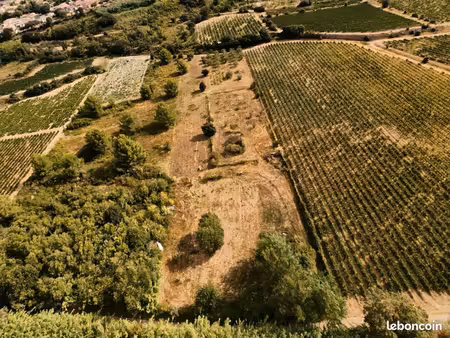 terrain agricole