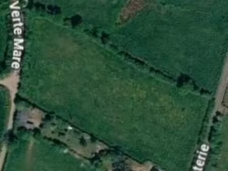 champ / terrain agricole